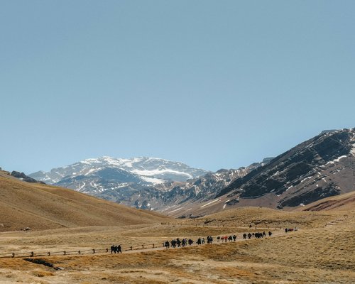 People walking through an expansive outdoor environment